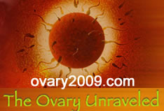 The Ovary Unraveled